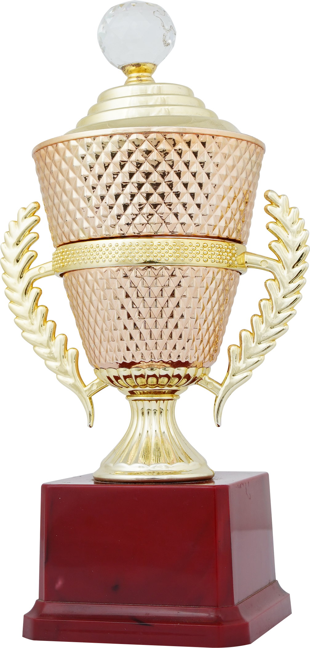 Sports Trophies