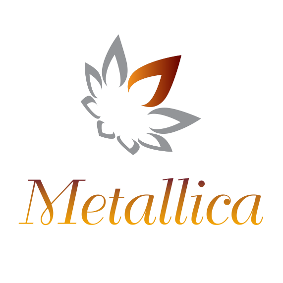 Metallica Logo